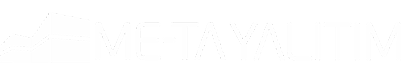 Meta Logo